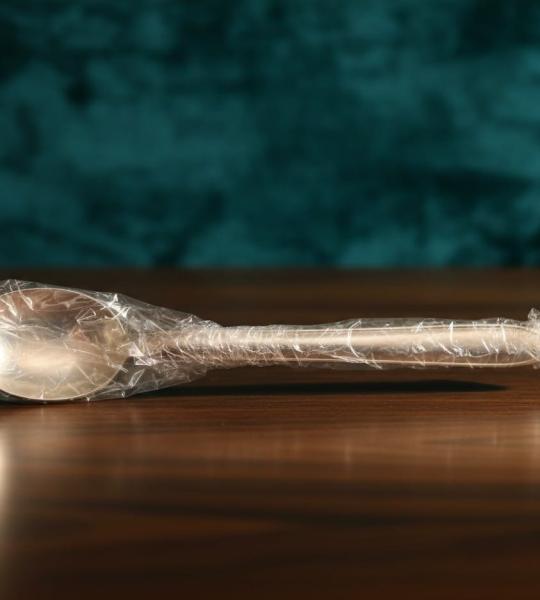 Serving Spoon